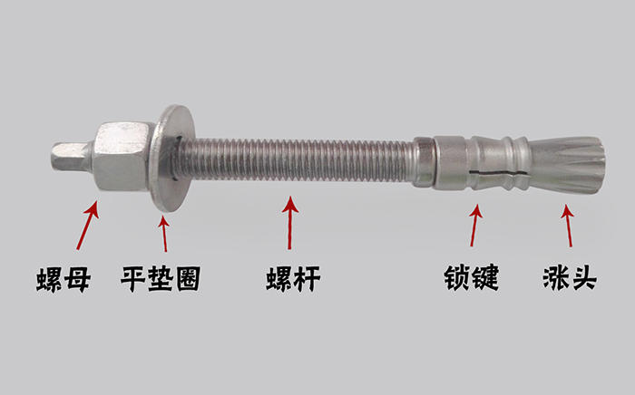 膠粘膜自擴底